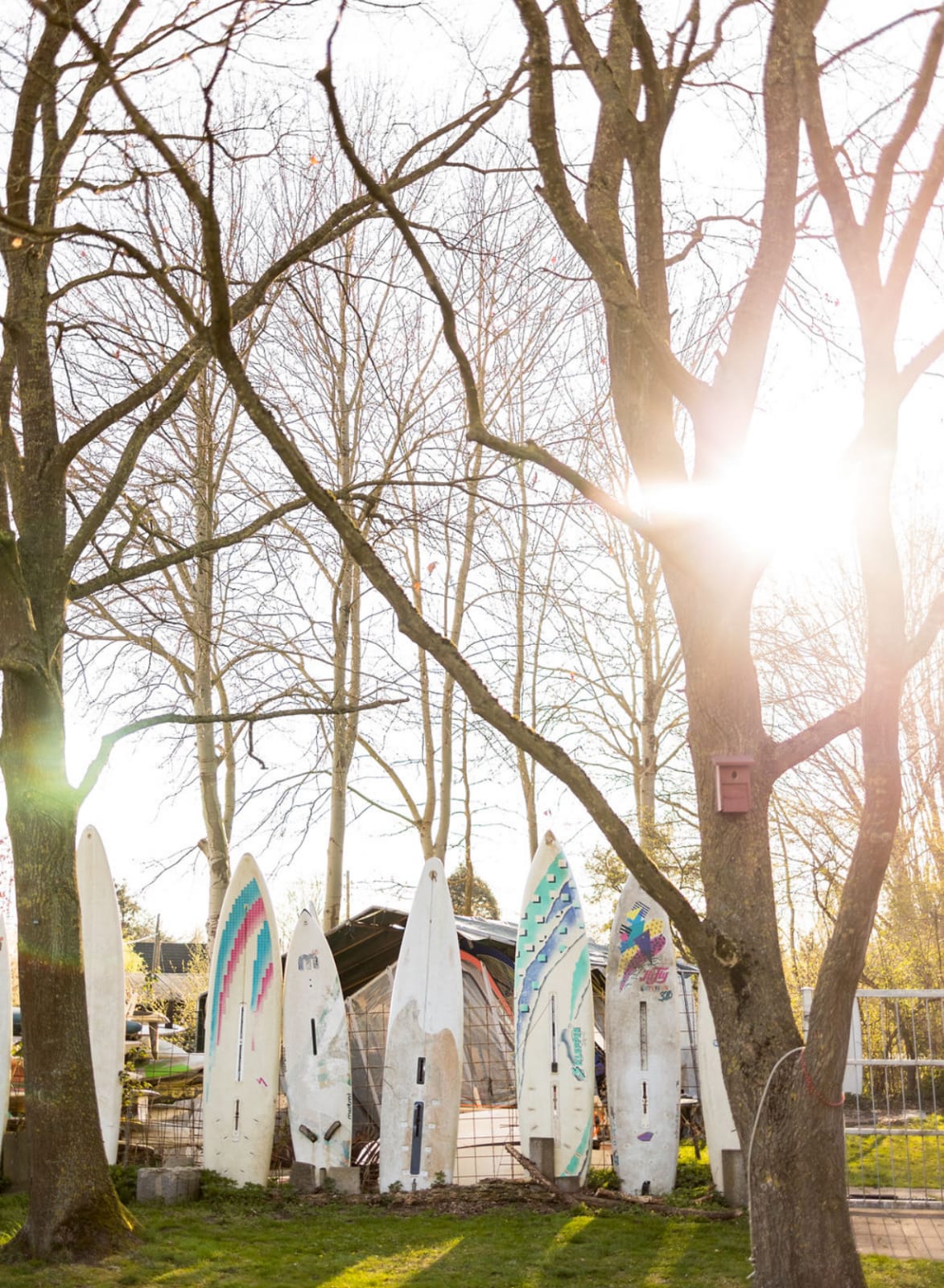 Windsurfen in Bremen